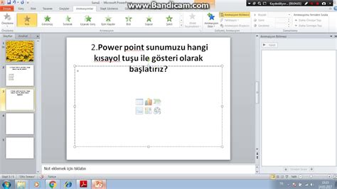 powerpoint soru cevap hazırlama